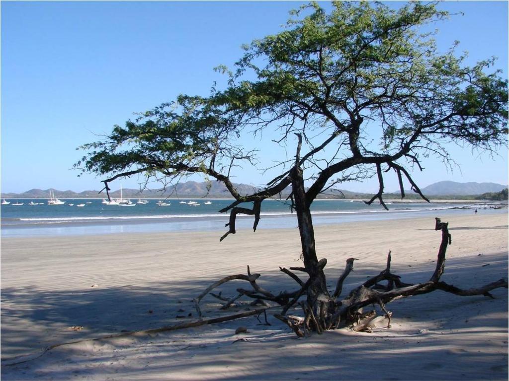 Jet Luxury At Langosta Beach Resort & Villas Tamarindo Exteriör bild